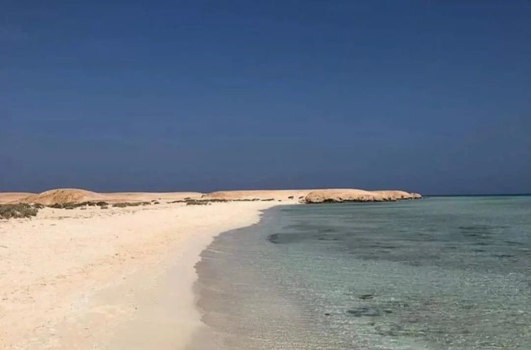 🏖️🌊 Sharm El Luli & El Qulaan Tour – Marsa Alam 🐠🌴 Sharm EL Luli /IMG-20260703-WA0003.jpg